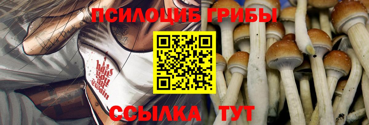 Псилоцибиновые грибы Psilocybe  Галлюциногенные грибы MAGIC MUSHROOMS  Орёл  Вход с VPN 