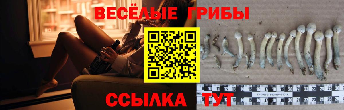Галлюциногенные грибы ЛСД Орёл