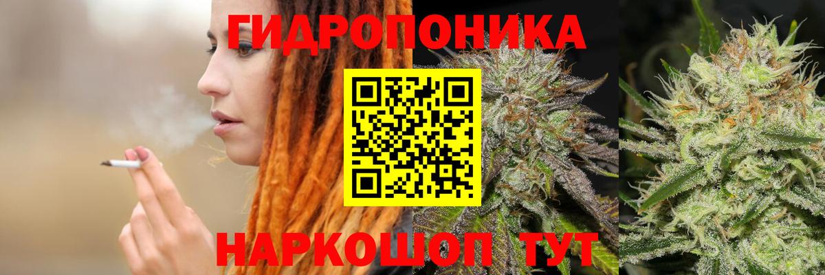 Шишки марихуана OG Kush  Бошки марихуана OG Kush  Конопля Bruce Banner  Орёл  Вход с VPN  Марихуана LSD WEED 